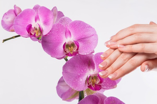 francuski manicure i kwiat orchidei