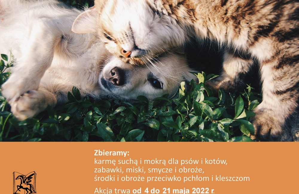 Zbiórka dla zwierzaków ze schroniska "Kundelek" w filiach WiMBP