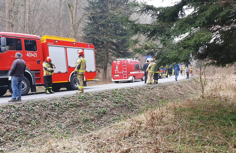 fot. Komenda Powiatowa Państwowej Straży Pożarnej w Ustrzykach Dolnych