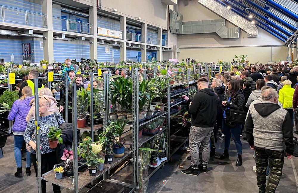 Festiwal Roślin wraca z jeszcze większym wyborem i nowymi gatunkami