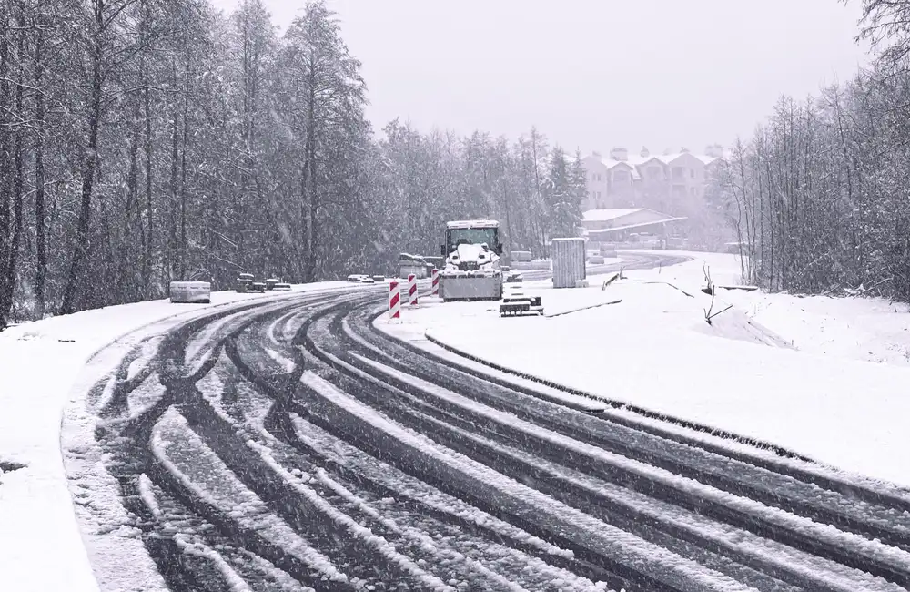 fot. ViC / RESinet.pl