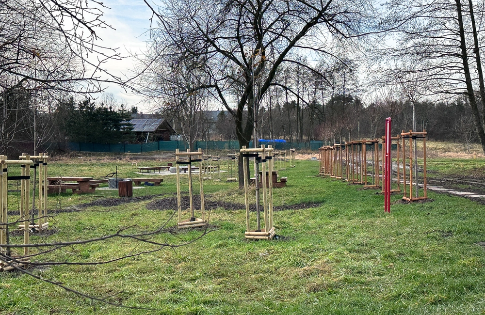 fot. ViC / RESinet.pl