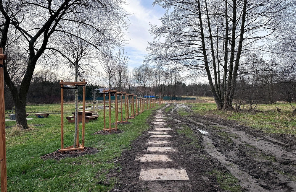 fot. ViC / RESinet.pl