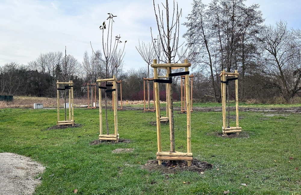 fot. ViC / RESinet.pl