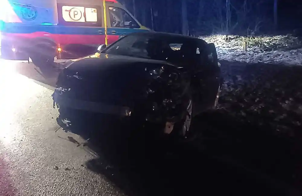 fot. KPP w Brzozowie