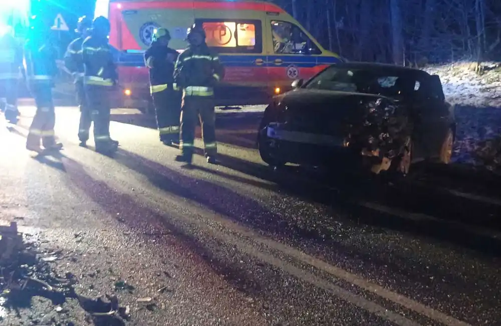 fot. KPP w Brzozowie