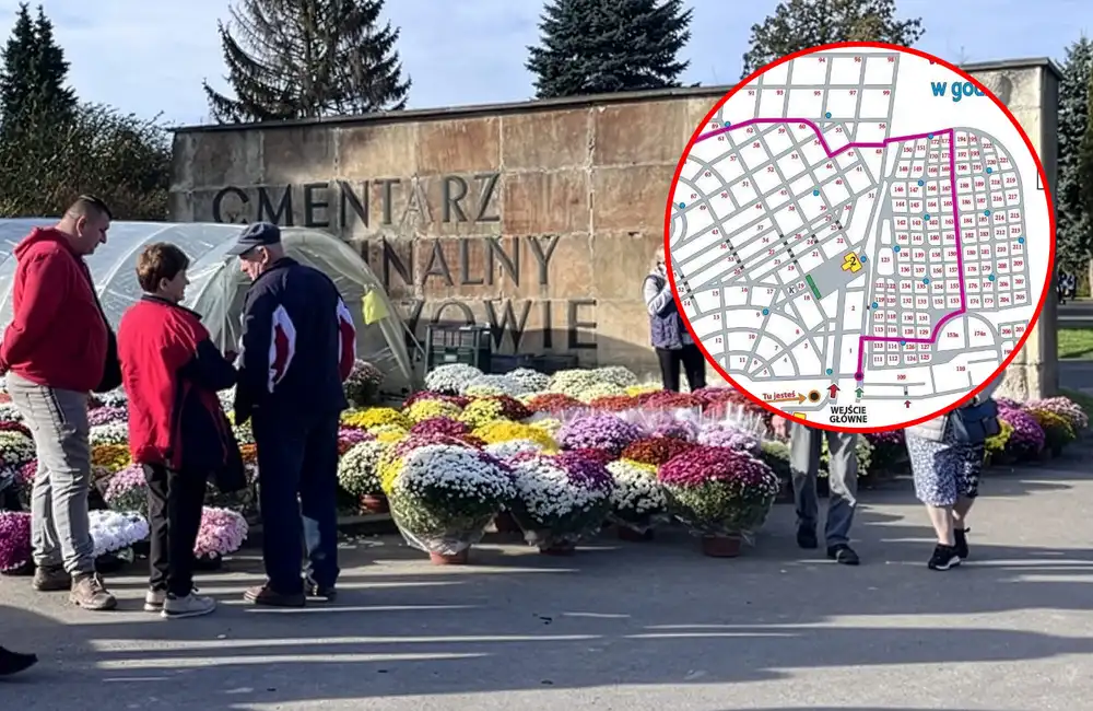 Bezpłatne przejazdy meleksem po cmentarzu Wilkowyja. Sprawdź najbliższe terminy