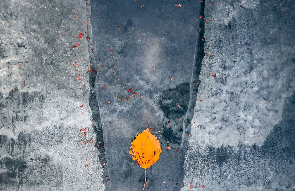 fot. Artur Wysocki