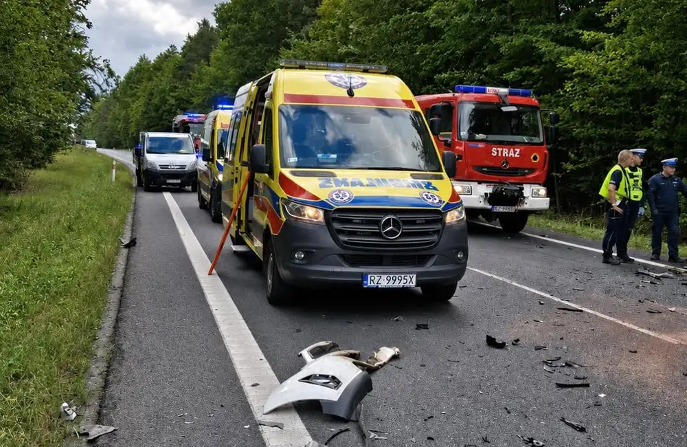 Wypadek na trasie Głogów Małopolski - Widełka / fot. Wojewódzka Stacja Pogotowia Ratunkowego w Rzeszowie