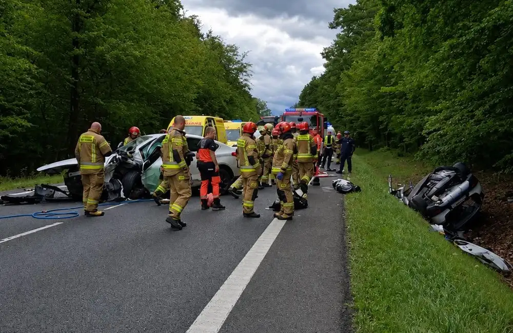Wypadek na trasie Głogów Małopolski - Widełka / fot. Wojewódzka Stacja Pogotowia Ratunkowego w Rzeszowie