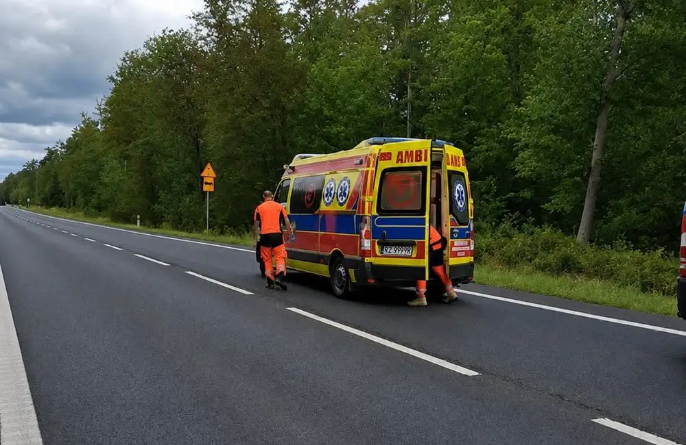 Wypadek na trasie Głogów Małopolski - Widełka / fot. Wojewódzka Stacja Pogotowia Ratunkowego w Rzeszowie