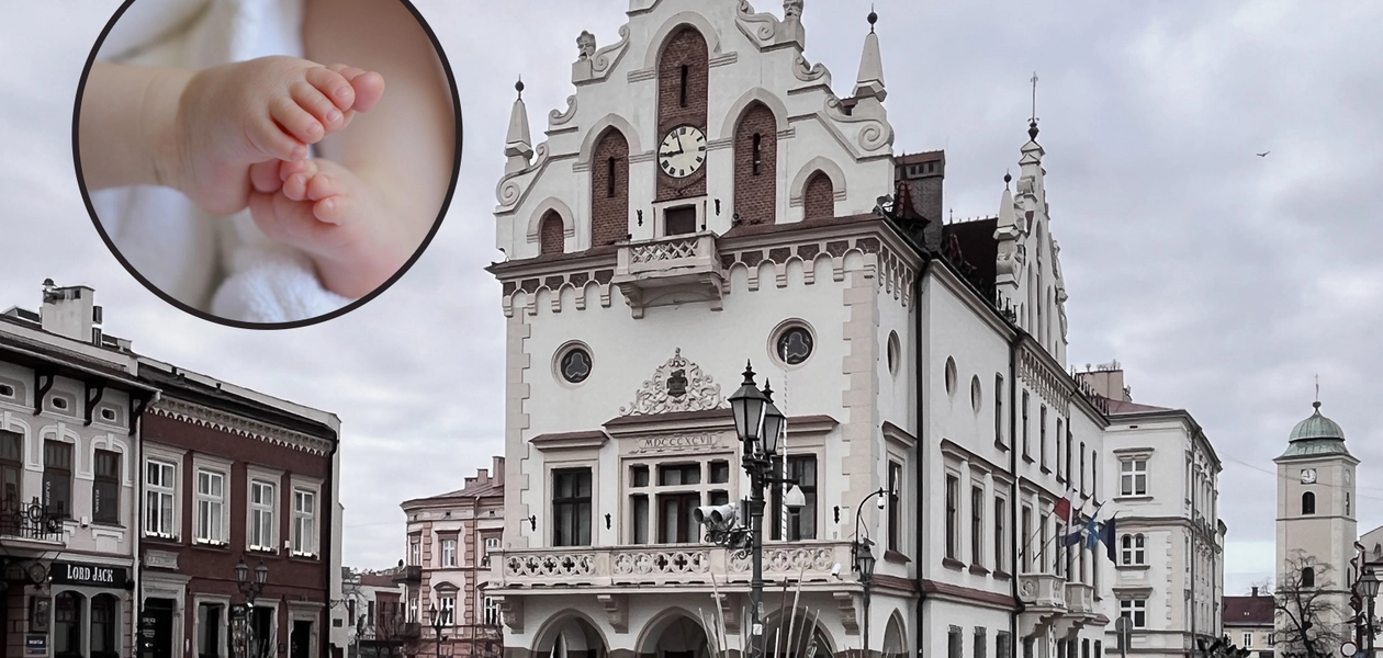 fot. Archiwum RESinet.pl / Pixabay