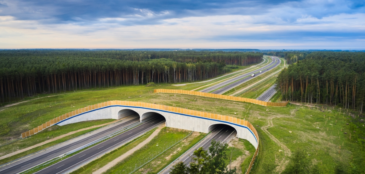 fot. GDDKiA Oddział w Rzeszowie