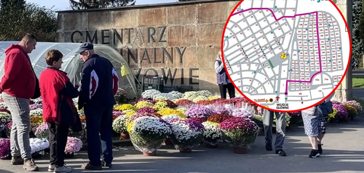 Cmentarz Wikolwyja w Rzeszowie / fot. Archiwum RESinet.pl