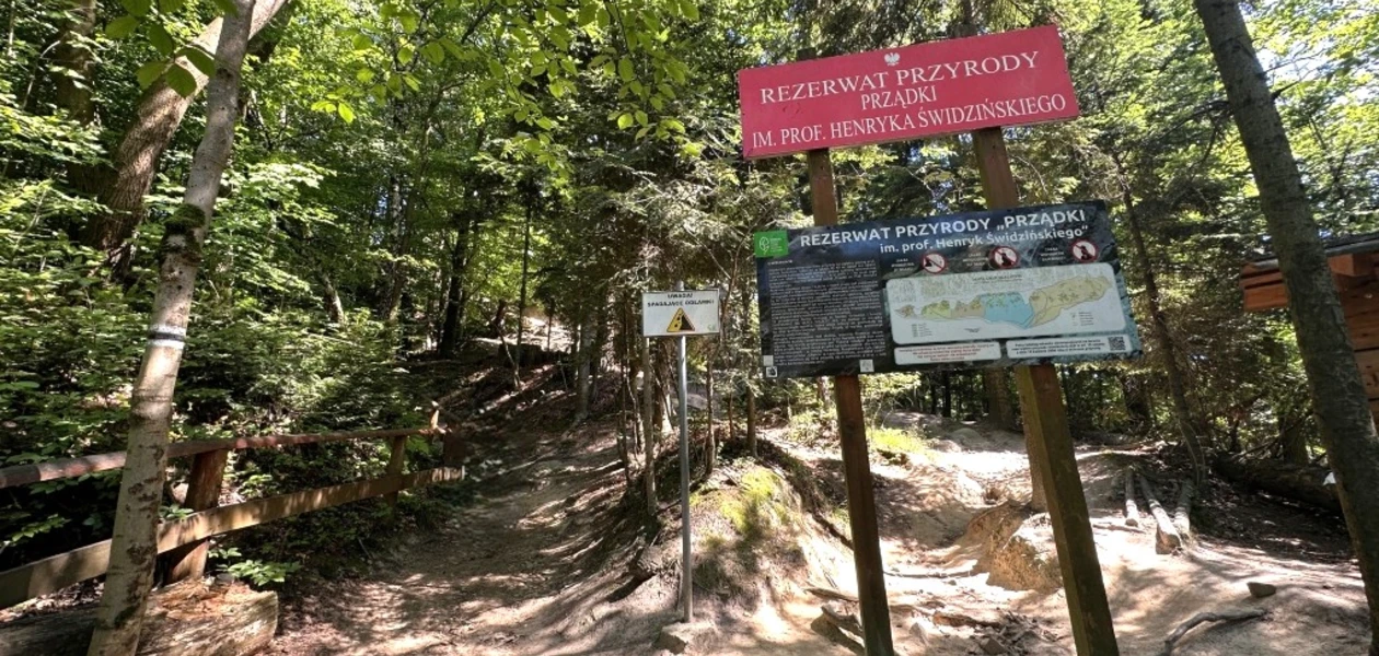 fot. Archiwum RESinet.pl