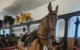 Do łańcuckiego zamku wracają ułańskie pokazy turniejowe fot. Muzeum - Zamek w Łańcucie 