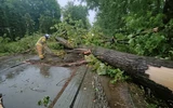 Skutki burz i intensywnych opadów na Podkarpaciu. 1200 interwencji strażaków fot. OSP Markowa 