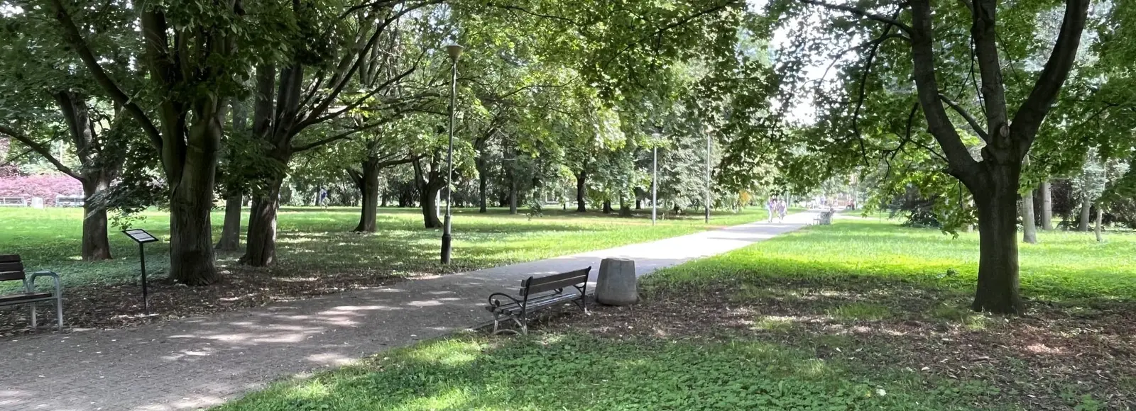 Blisko 30 tys. nowych roślin pojawi się na rzeszowskich Bulwarach Rzeszowskie Bulwary, fot. Archiwum RESinet.pl 