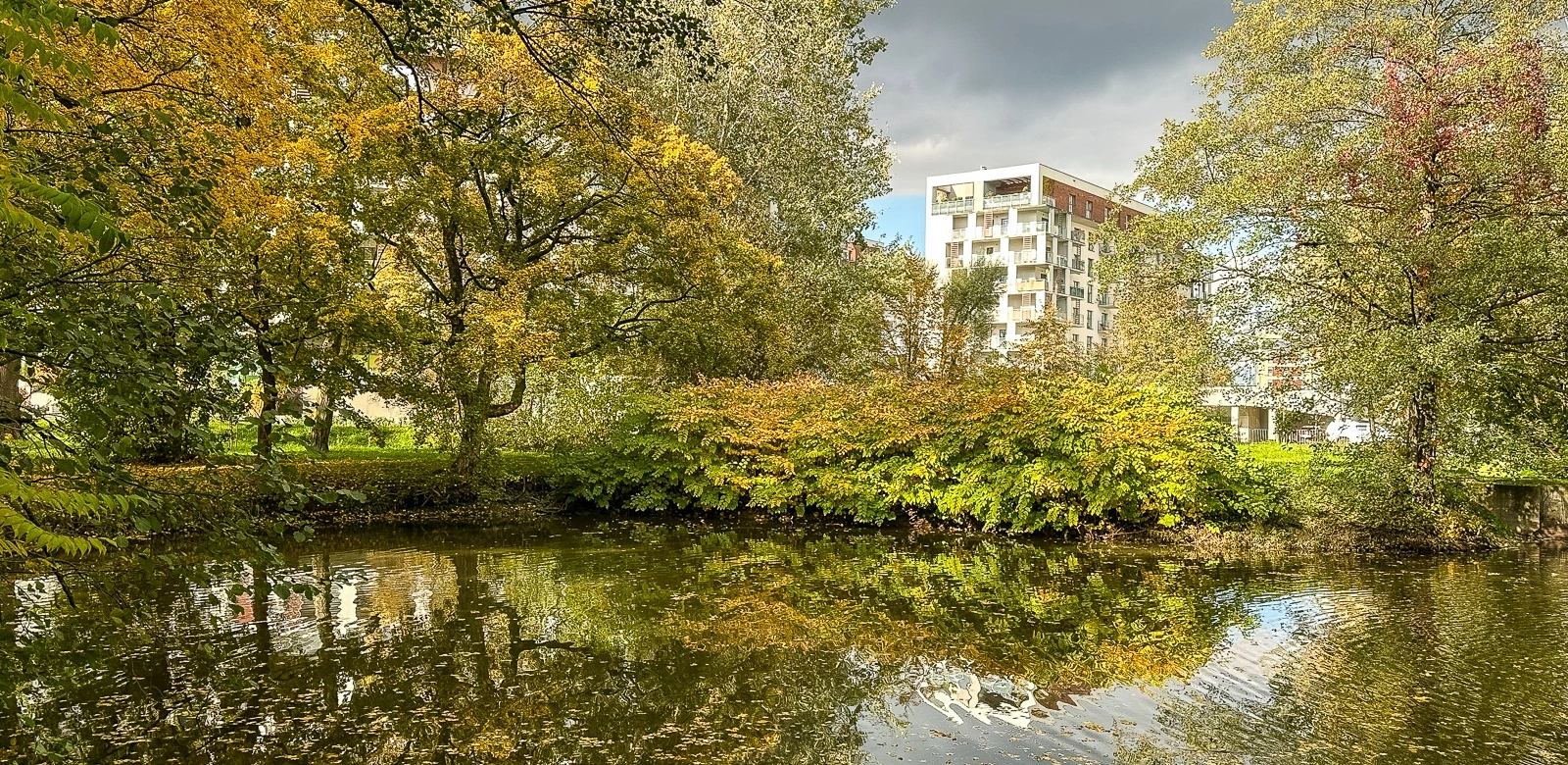Jesień w parku Szafera
