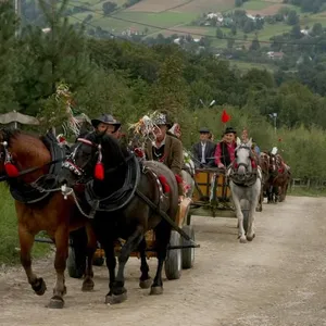 Gogołowskie Drzewoludy   - Podkarpacie, Wydarzenia