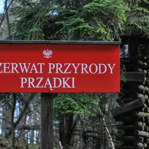 Prządki, Zamek w Odrzykoniu  - Podkarpacie, Krajobraz
