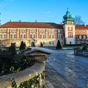 Park zamkowy w Łańcucie - styczeń 2015  - Podkarpacie, Inne