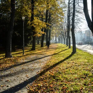 Barwy Jesieni. Spacer po Rzeszowie  - Rzeszów, Krajobraz