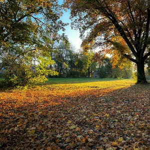 Barwy jesieni  - Rzeszów, Przyroda