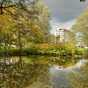 Jesień w parku Szafera  - Rzeszów, Krajobraz