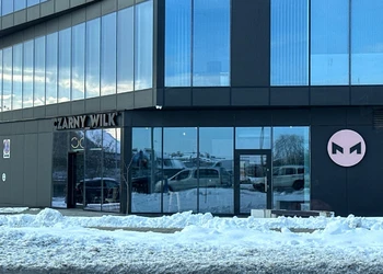 Czarny Wilk przy al. Armii Krajowej w Rzeszowie