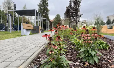 Ogród kieszonkowy przy ul. Kurpiowskiej, fot. ViC / RESinet.pl, Rzeszów