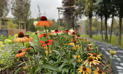 Ogród kieszonkowy przy ul. Kurpiowskiej, fot. ViC / RESinet.pl, Rzeszów