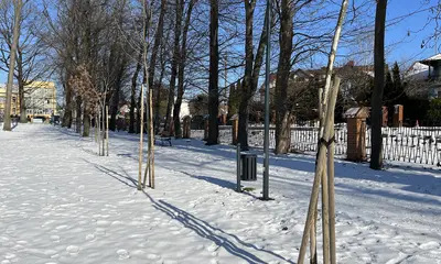 Park przy ul. Wieniawskiego, fot. ViC / RESinet.pl, Rzeszów