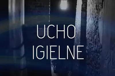 Ucho igielne