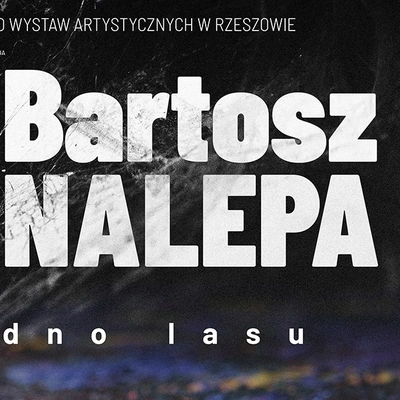 Bartosz Nalepa: Dno Lasu