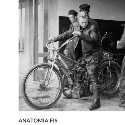 Anatomia FIS