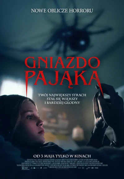 Gniazdo pająka