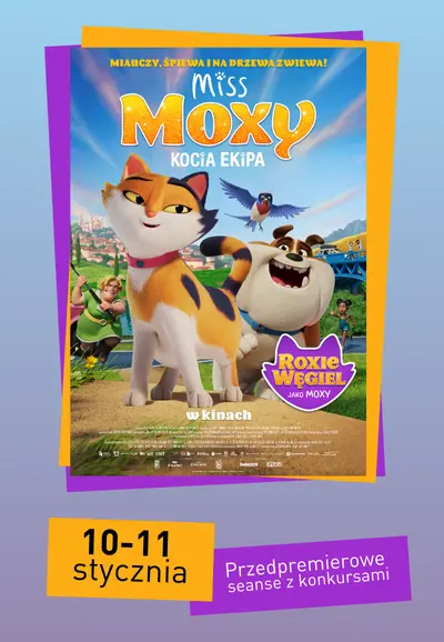 Miss Moxy. Kocia ekipa