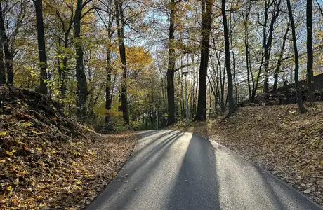 Rzeszów - Jesienny spacer po Lisiej Górze