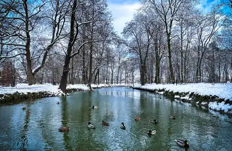 Rzeszów - Park Szafera w zimowej scenerii