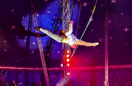 Rzeszów - Cyrk Safari z programem "The Show Must Go On" w Rzeszowie [marzec 2026]