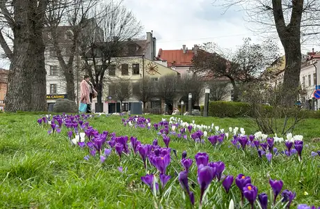 fot. RESinet.pl