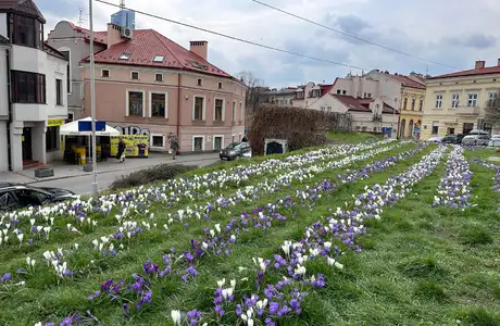 fot. RESinet.pl