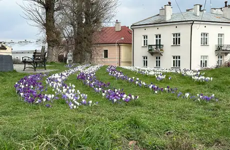 fot. RESinet.pl