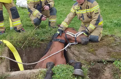 fot. KP PSP w Strzyżowie