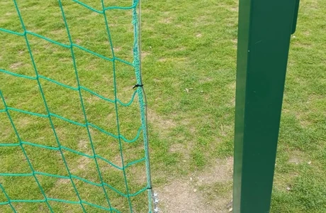 fot. Zarząd Zieleni Miejskiej w Rzeszowie