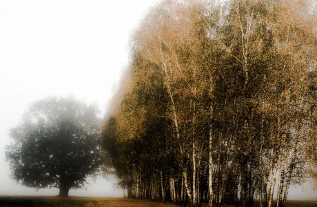 Zdjęcie z wystawy „Fotografia ojczysta wiek XXI" Mirosława Raka