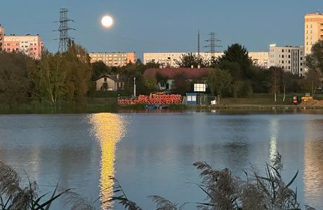 Rusza kolejny etap odmulania rzeszowskiego zalewu  fot. Archiwum RESinet.pl 