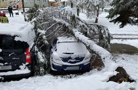 fot. KW PSP w Rzeszowie