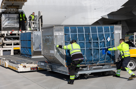 fot. Materiały prasowe portu lotniczego Rzeszów - Jasionka